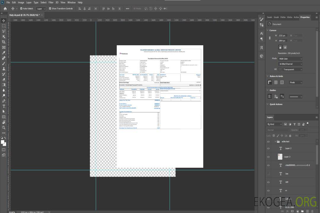 Fiche de paie de Teleperformance Global Services template Fiche de paie de Teleperformance Global Services template